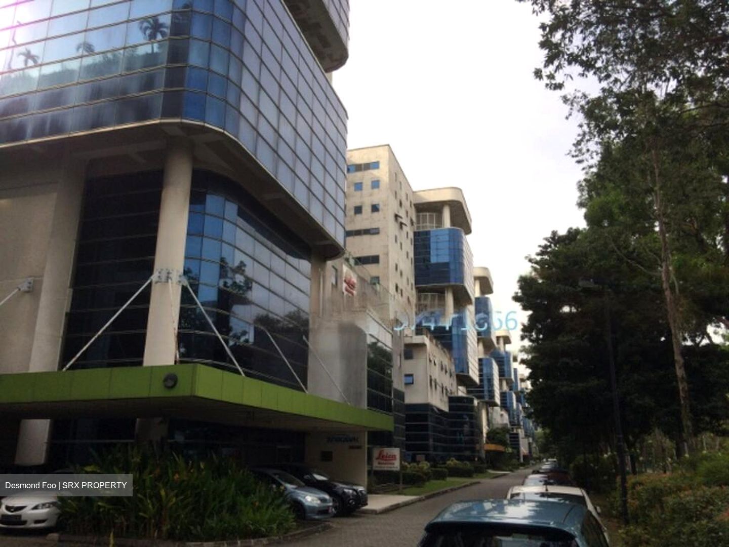 Admiralty Flora (D25), Factory #460897521